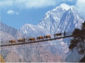 Осенний треккинг в Гималаях. Кольцо Аннапурны